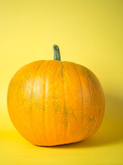 big orange pumpkin on a yellow background. autumn concept.