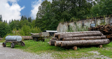 Fototapeta na wymiar Holzstämme lagern auf einem Gelände des Gartenbauamt
