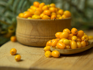 Fresh sea buckthorn berries in a wooden bowl and spoon against the background of leaves and branches with berries
