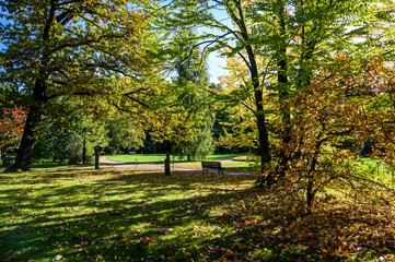 Fototapeta na wymiar botanical park in early autumn. Sunny Autumn Day