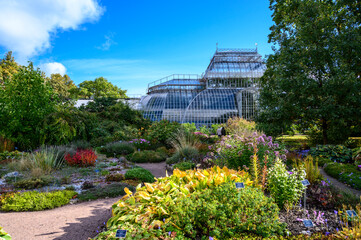 Fototapeta premium botanical park in early autumn. Sunny Autumn Day