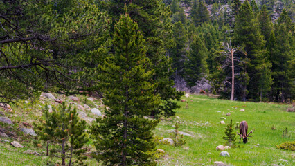 Rocky Mountain National Park