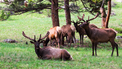 Rocky Mountain National Park