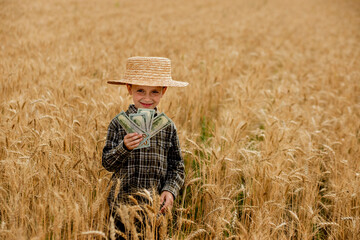 Naklejka na ściany i meble Little boy is holding dollars among a field of ripe ears of corn. Profit from agriculture during harvesting season in the summer