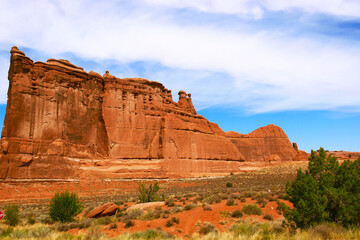 Fototapeta premium Cactus, sand, red rock , giant structures, Arches National Park, Utah, USA