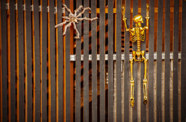 Obraz premium Golden Halloween skeleton decoration and fuzzy spider climbing contemporary rustic residential fence - Room for copy