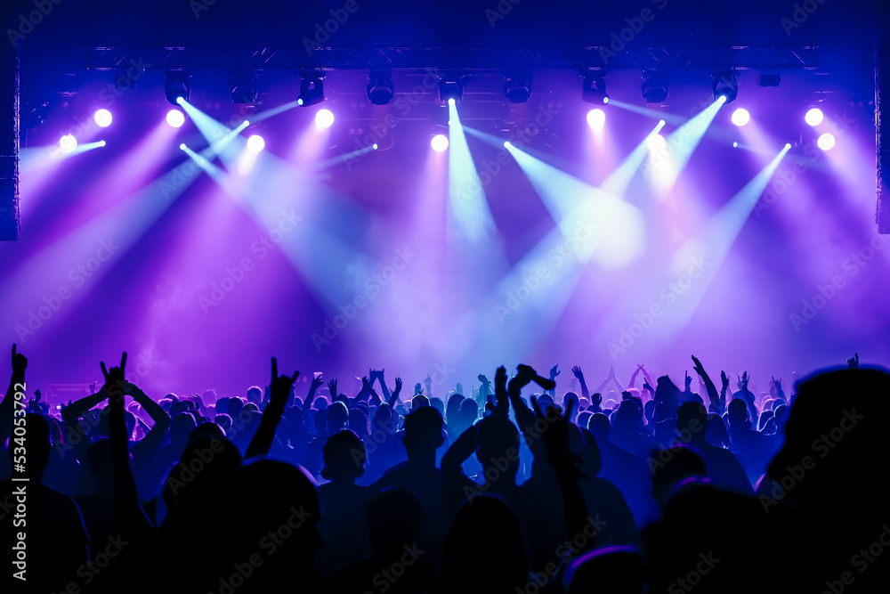 Wall mural crowd of people dancing at concert