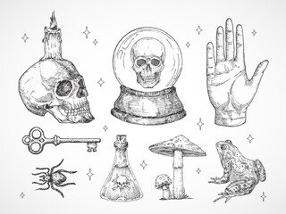 Mystical Magic Engraving Illustrations Set. Hand Drawn tattoo style sketches of crystall ball, frog, scull, key and spider Palmistry and alchemy Halloween symbols collection