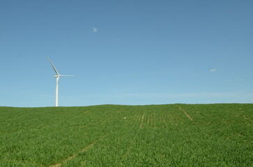 Fototapeta na wymiar Wind Turbine in Field