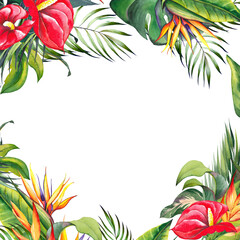 Tropical square frame with red lily, strelitzia flowers and palm leaves. Watercolor illustration on white background. - 534054710