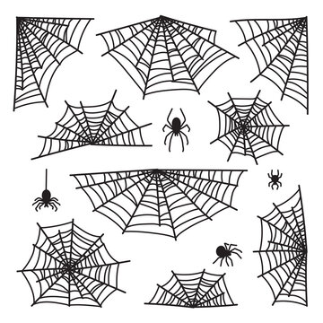 Halloween cobweb vector frame border and dividers isolated on white with spider web for spiderweb scary design