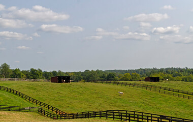 Soybean farm
