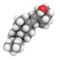 Vitamin D3 (cholecalciferol) molecule