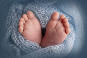 The tiny foot of a newborn. Soft feet of a newborn in ablue woolen blanket. Close-up of toes, heels and feet of a newborn baby. Studio Macro photography. Woman's happiness.