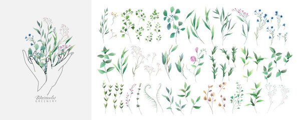 Set of luxury green leaves and flowers elements in watercolor style. Aquarelle trendy greenery branches and blooming. Vector isolated on white background for Invitation, greeting © merfin