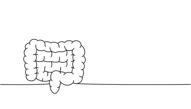 recommend clip art: Human intestines one line continuous drawing. Human organ continuous one line illustration. Vector minimalist linear illustration.