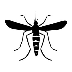 Black mosquito. PNG illustration.