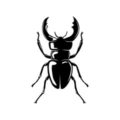 Black  Stag beetle. PNG illustration. 