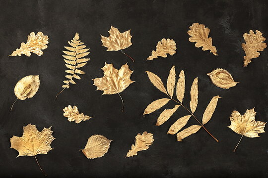 Creative autumn composition flat lay on seasonal background with golden maple leaves,minimal autumn concept,screen banner.Happy Thanksgiving and greeting card,selective focus