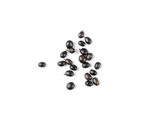 Black Elderberry Isolated, Sambucus Berries, Ripe Danewort, Elder berry on white background