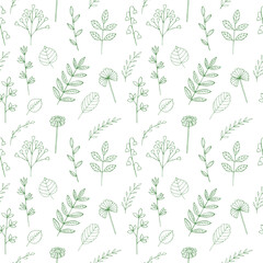 Plants seamless pattern vector illustration, hand drawn doodles
