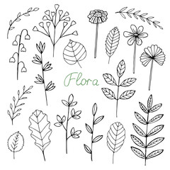 Plants set vector illustration, hand drawn doodles