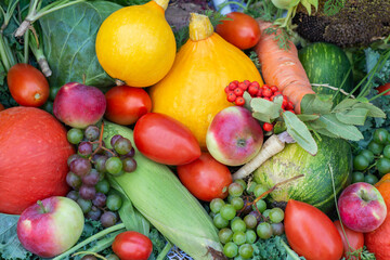 Raw fruit and vegetable varieties. Fresh fruits and vegetables. Organic food background