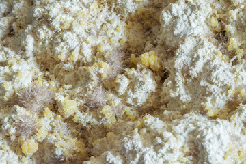 Pure raw block of sulphur with a powder-like texture. Natural sulfur mineral specimen with celestine crystals on its surface