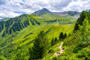Green alpine meadows and tourist path