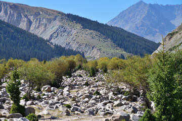 Grigorievskoe gorge landscape. Kyrgyzstan