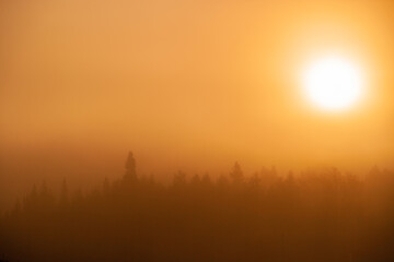 Sunrise over trees in early morning fog in the New England town of Stowe Vermont, USA