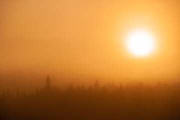 Sunrise over trees in early morning fog in the New England town of Stowe Vermont, USA