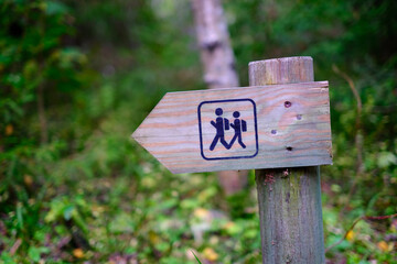 A wooden pole with an indicator of the direction of a walking route in a forest park area. Recreation and tourism