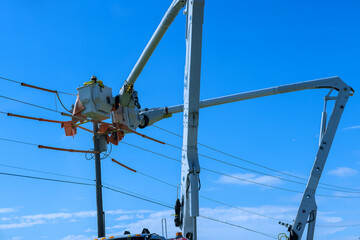 As a result of storm, electrical workers in the power pole maintenance industry were hired to...