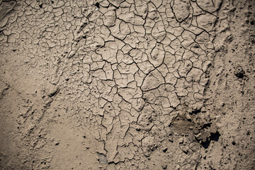 trockener, aufgerissener Erdboden 3