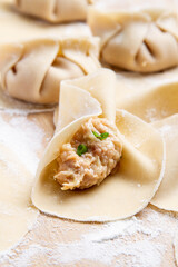 preparing dumplings or gyosas on a white kitchen table, you can see the meat filling of one of them