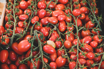 Fresh raw cherry tomato for sale in market. 
