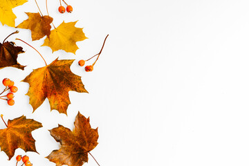 Isolated leaves, Collection of multicolored fallen autumn leaves isolated on white background,...