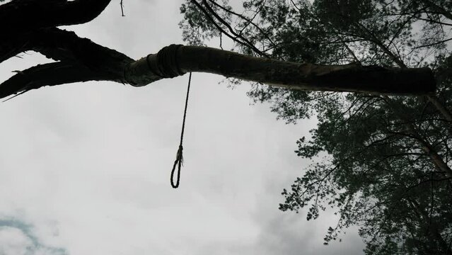 Rope on a tree branch. A noose on a tree. Depression and hopelessness