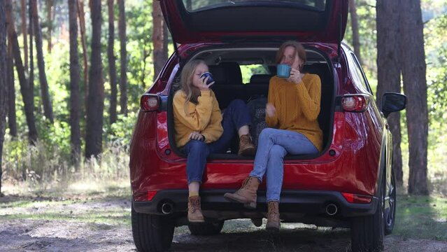 forest picnic in the car trunk