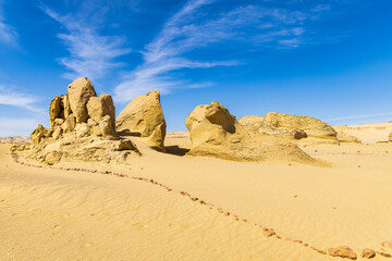 Eroded rocks along the interpretive trail at Wadi el-Hitan paleontological site.