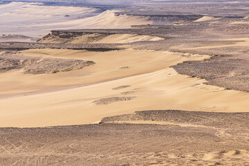 Fototapeta na wymiar Sandy desert at Wadi el-Hitan paleontological site.