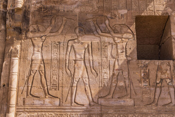 Carved mural at the Kom Ombo temple.