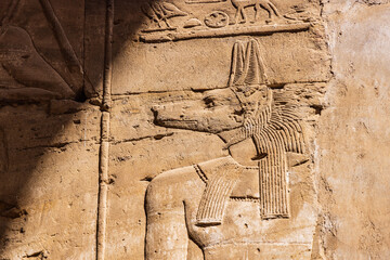 Carving of the god Anubis in the Temple of Horus at Edfu.