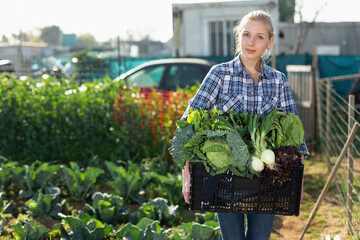 Portrait of blonde young woman holding box with harvest of green vegetables at her garden