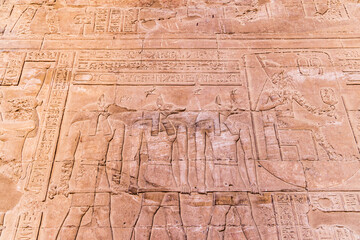Carving of the god Anubis in the Temple of Horus at Edfu.