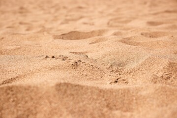 Fototapeta na wymiar Sand of a beach