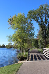 Fototapeta premium path in the park