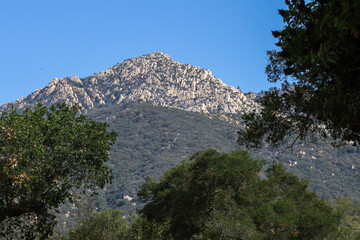 Mountain shot at Santa Barbra botanical gardens