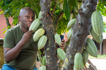 A happy African male farmer, trader, entrepreneur or businessman from Nigeria, kissing a cocoa...